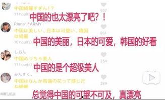 中国人聪明日韩评论视频,中国人智慧在日韩视频中的独特魅力 中国人聪明日韩评论视频,中国人智慧在日韩视频中的独特魅力